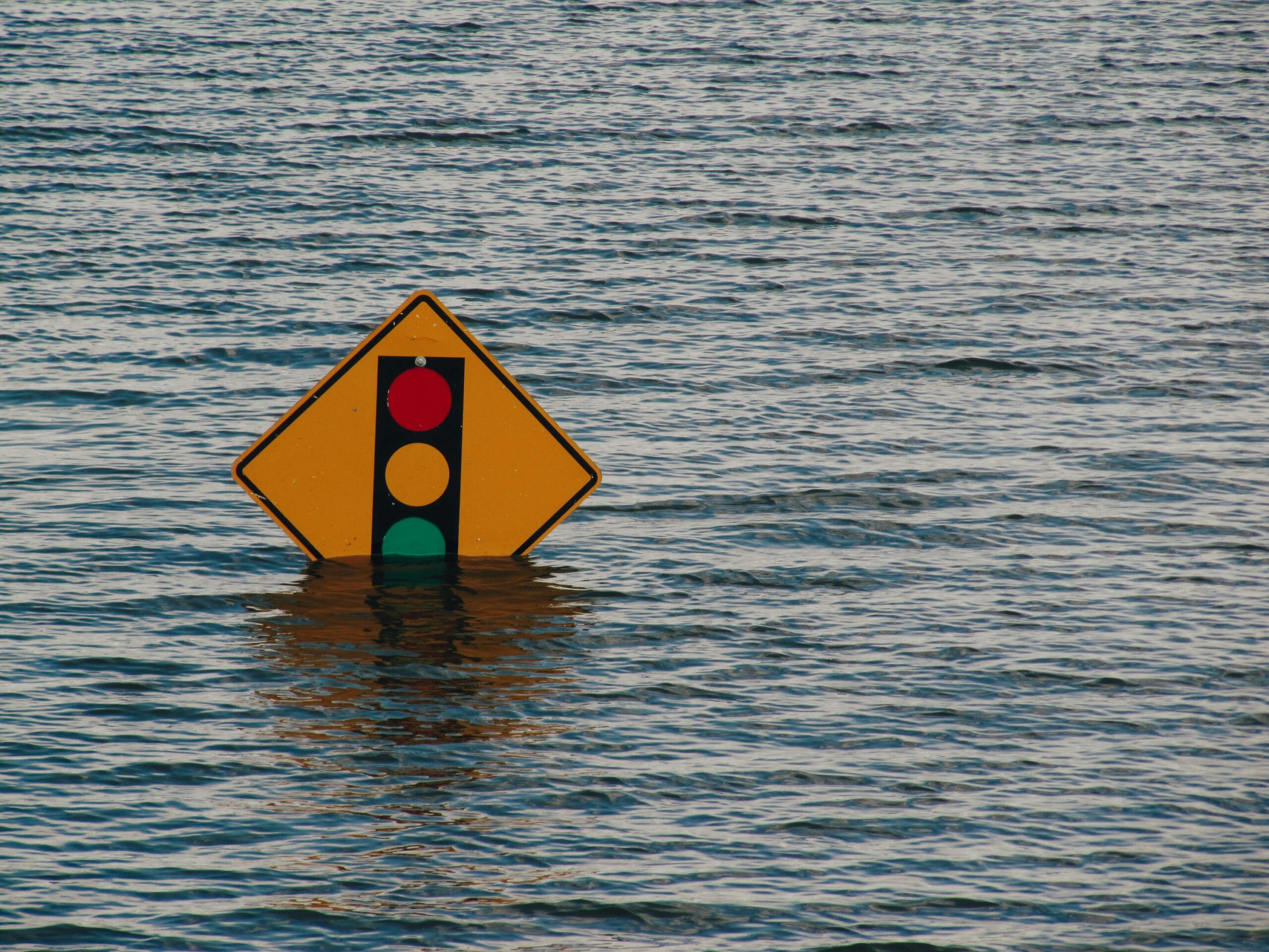 Climate Change & Sustainability